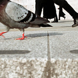 Leica Street Photography Weekend - with Matt Stuart | Fri, April 1 - Sun, April 3, 2016