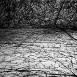Graciela Iturbide