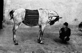 Koudelka Gypsies