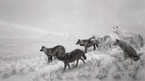 Hiroshi Sugimoto: Dioramas