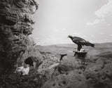 Hiroshi Sugimoto: Dioramas