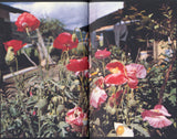 Daido Moriyama: Tales of Tono