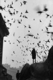 Sergio Larrain