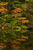 Leica Photo Adventure: New Hampshire Fall Foliage | Oct 2-6, 2015