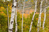 Leica Photo Adventure: New Hampshire Fall Foliage | Oct 2-6, 2015
