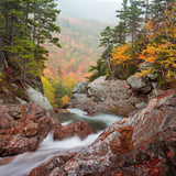 Leica Photo Adventure: New Hampshire Fall Foliage | Oct 2-6, 2015