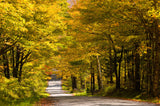 Leica Photo Adventure: Vermont Fall Foliage | Oct 8-12, 2015