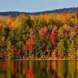 Leica Photo Adventure: Vermont Fall Foliage | Oct 8-12, 2015