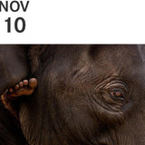 Leica Lounge with Annette Bonnier | Thurs, Nov 10, 2016 | 7pm - 8:30pm