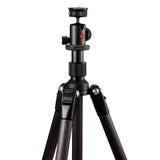 Leica Ball Head 24
