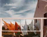 Joel Meyerowitz: Cape Light