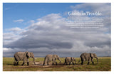 LFI 05/2016 July