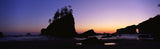 Olympic Peninsula Workshop with Art Wolfe | Wed, June 8 - Sun, June 12, 2016