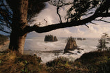 Olympic Peninsula Workshop with Art Wolfe | Wed, June 8 - Sun, June 12, 2016