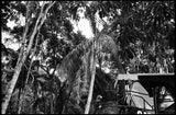 Leica Lounge with Andrew Kaufman | Thurs, Jan 12, 2017 | 7pm - 8:30pm