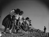 Margaret Bourke-White: Moments in History