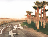 Joel Sternfeld: On This Site