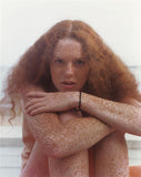Joel Meyerowitz: Retrospective