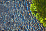 Olympic Peninsula Workshop with Art Wolfe | Wed, June 8 - Sun, June 12, 2016