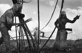 Sebastião Salgado: Other Americas